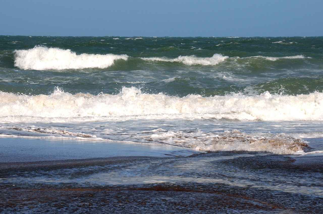 Dogo Argentino Bite Force – How It Stacks Up Against Other Breeds 1 Understanding Bite Force in Dogs