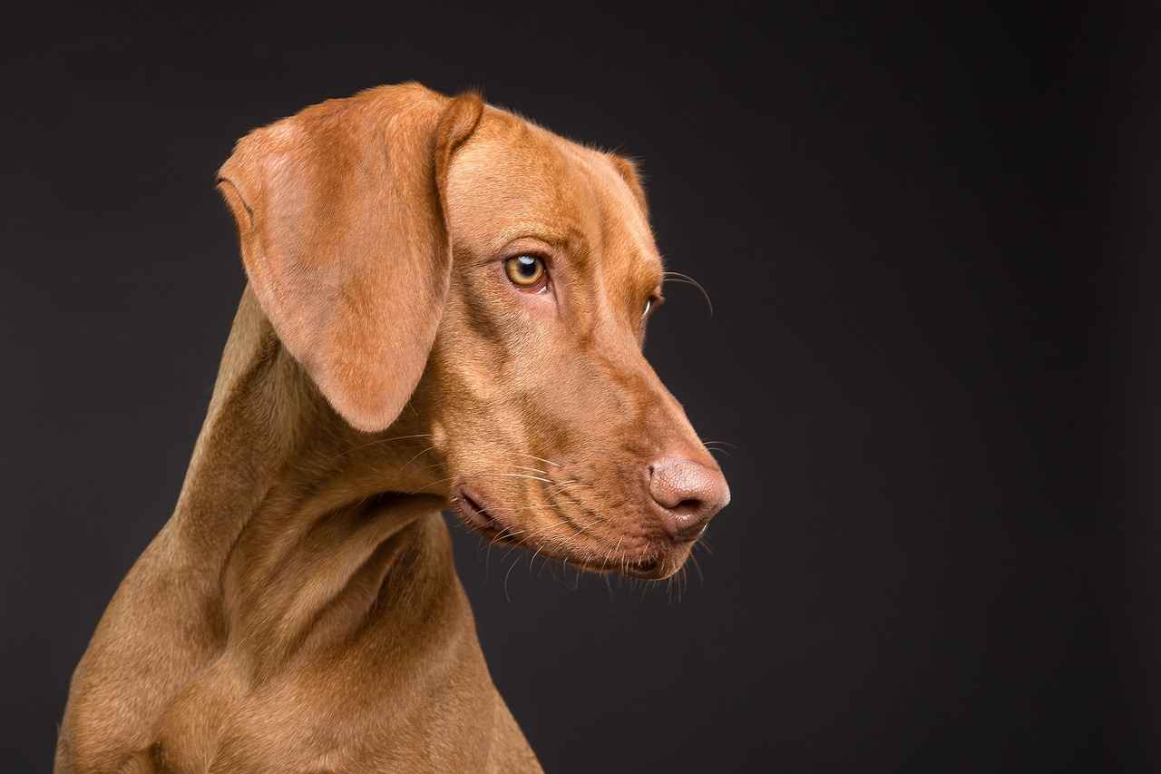 Signs of an Infected Tick Bite