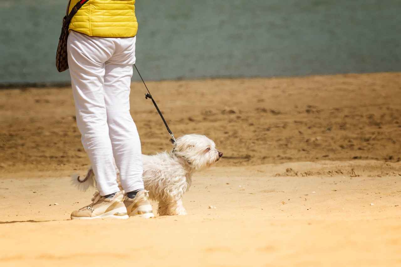 Understanding Dog Bite Liability
