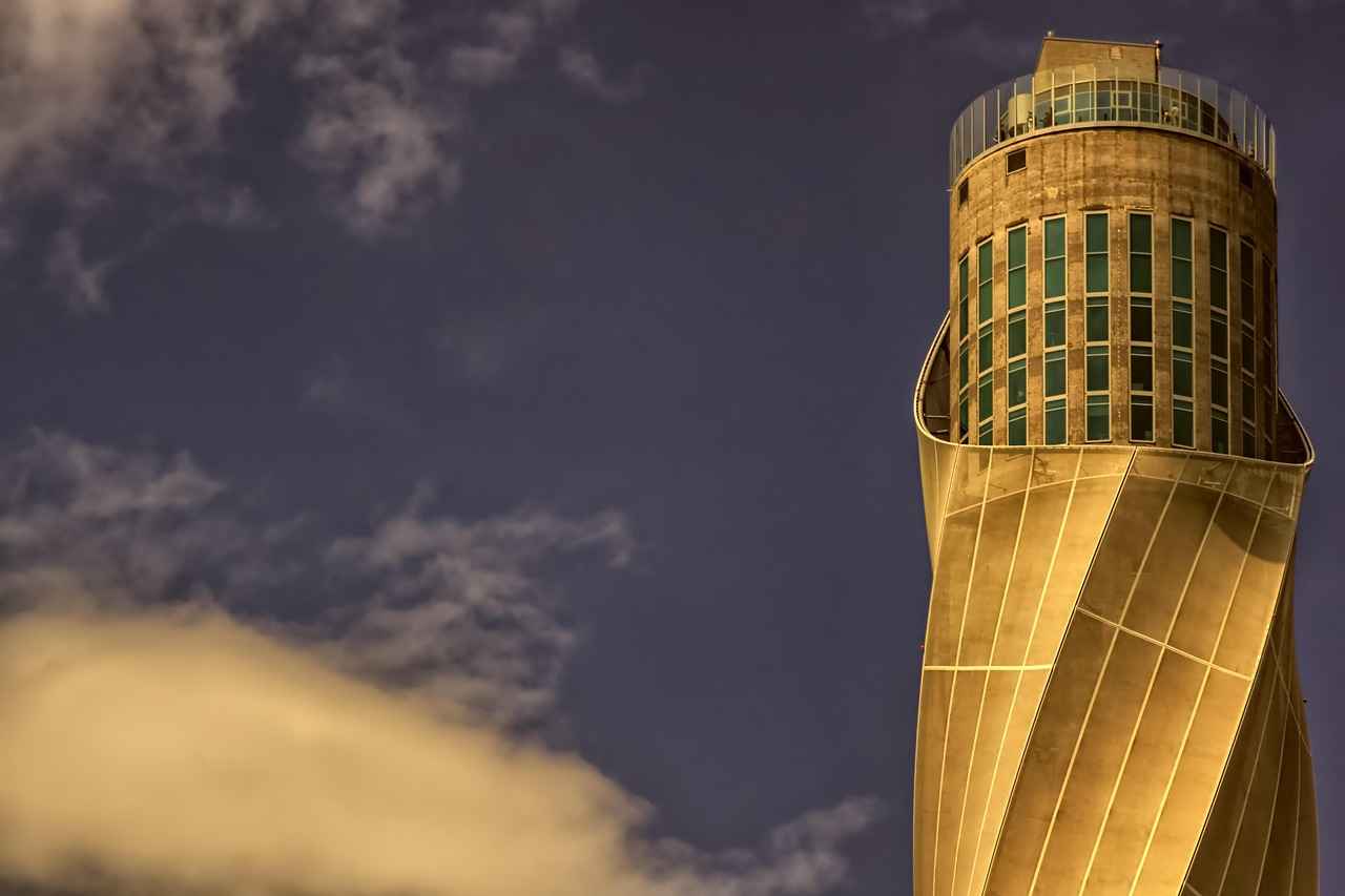 Rottweiler Dog Bite Force – Just How Strong Is It? 3 Historical Background of Rottweilers