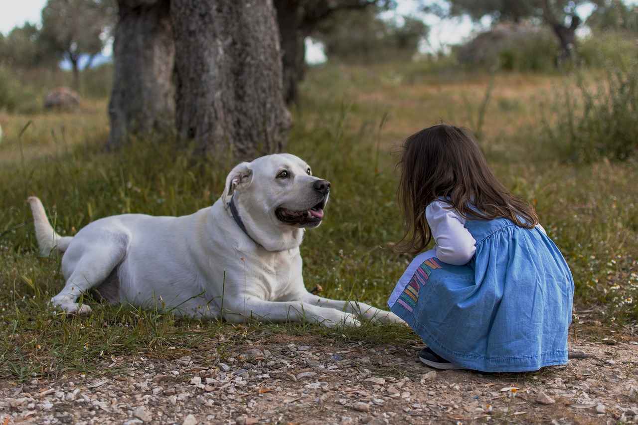 En Güçlü Köpek Irkları