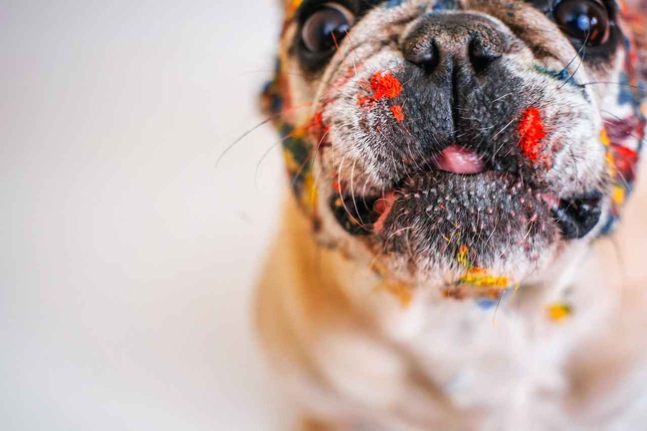 Conclusion: Keeping Your Dog Tick-Free