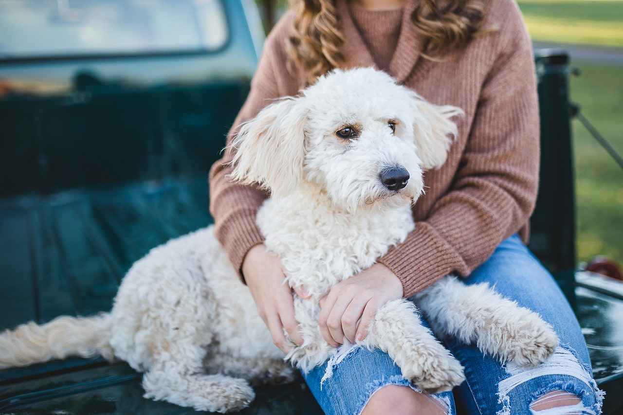 Conclusion: Are Calming Bites Worth It?