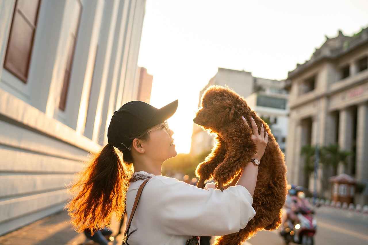 Köpek Isırığı Tedavi Yöntemleri