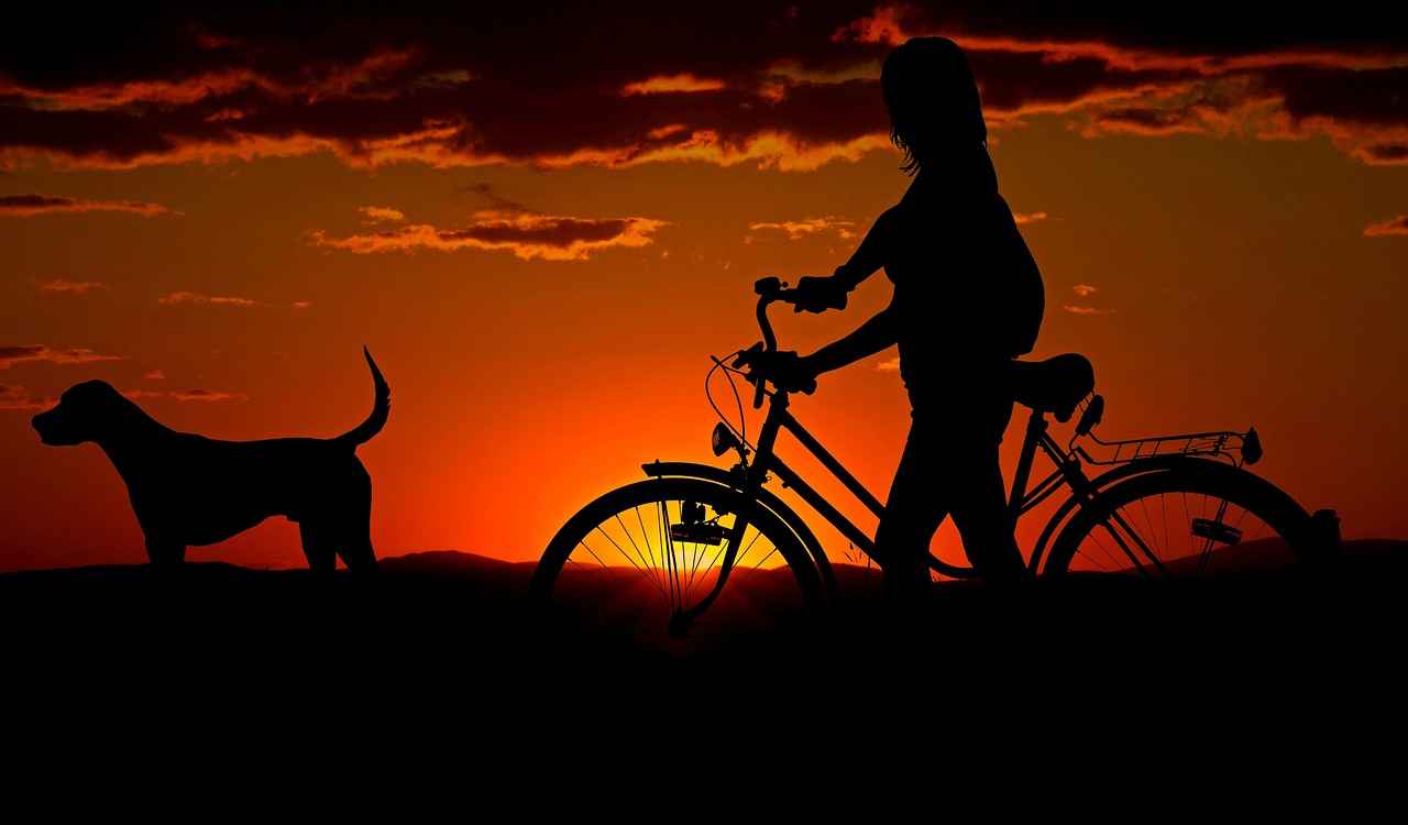Dog Snake Bite Symptoms – How to Recognize and Treat Them