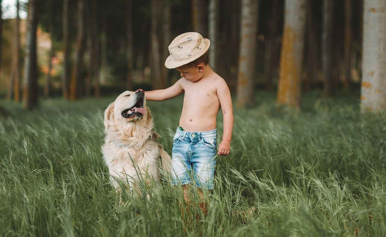 Dogs with the Most Powerful Bite Force – Which Breed Reigns Supreme?