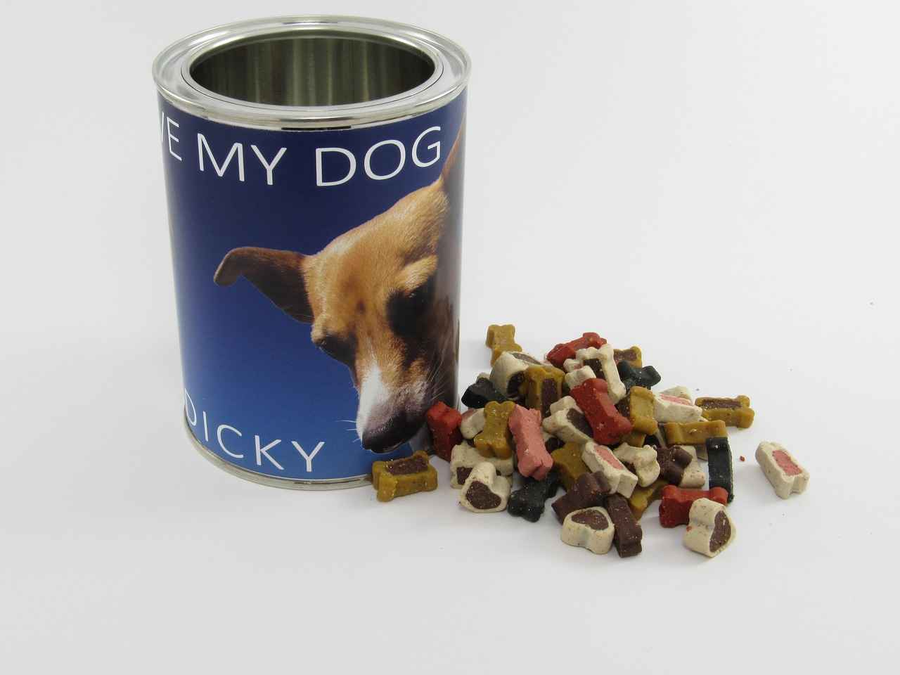 Kibbles and Bits Nedir?