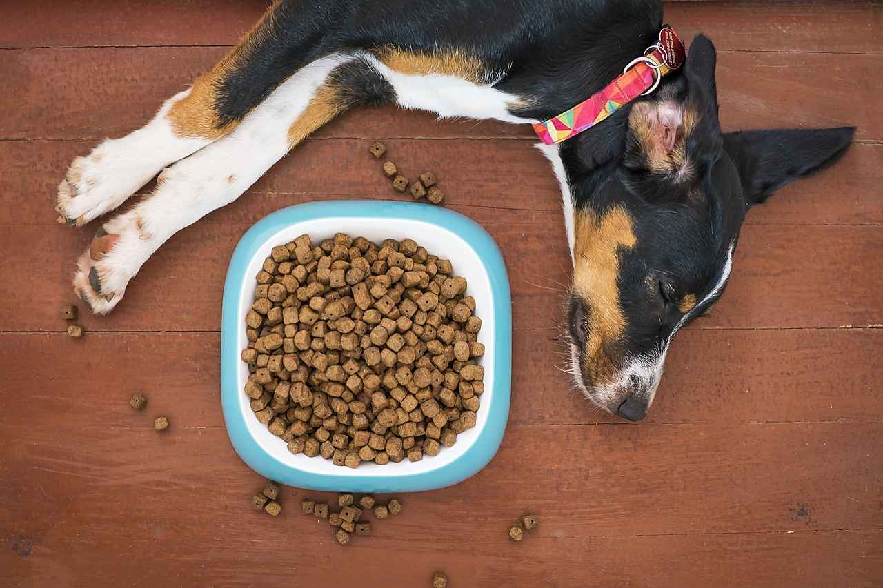 Potential Risks of Freeze-Dried Beef Liver