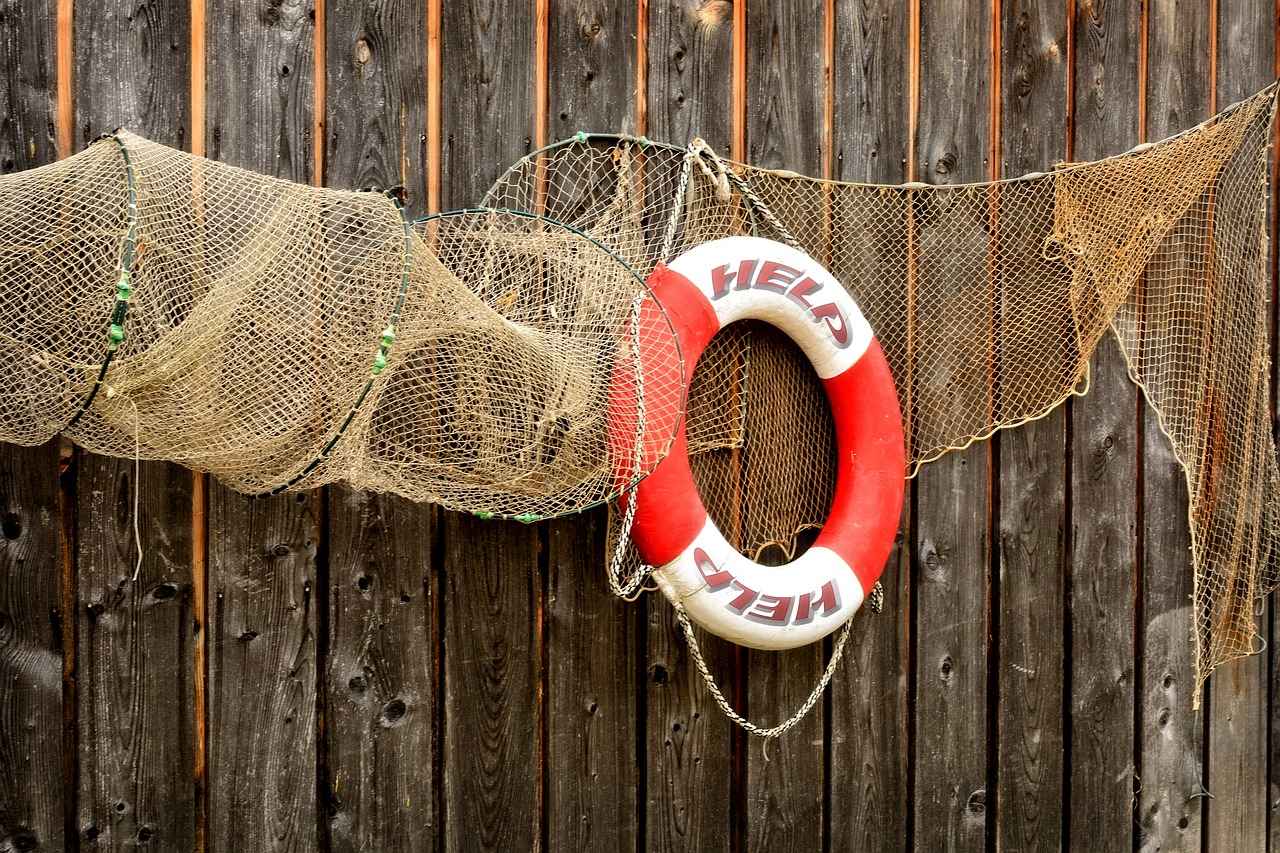 First Aid for Dog Bites